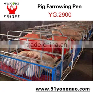 YG.2900 Galvanized Pig Farrowing Crate for Pig Farming Equipment thumbnail-1