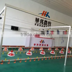 Huabang Poultry Chicken Equipment,automatic Chicken | Broiler Feeder thumbnail-1