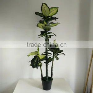 Fake Decorative Dieffenbachia Rohdea Artificial Evergreen Wholesale thumbnail-1