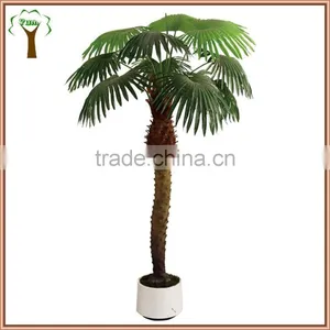 Artificial Fan Palm Tree With Special Head for Indoor Decoration thumbnail-1