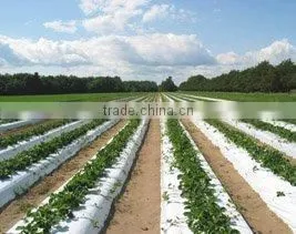 pp Spunbond Nonwoven Fabric Ground Cover Weed Control Mat thumbnail-5