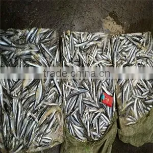 Frozen Whole Round Anchovy for Sale thumbnail-2