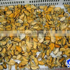 Bleu Mussel Meat IQF thumbnail-1