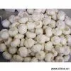 Sell Garlic thumbnail-1