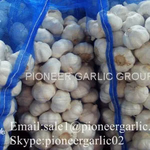 4.5-5cm Normal White Chinese Fresh Garlic In Mesh Bag Packing thumbnail-1