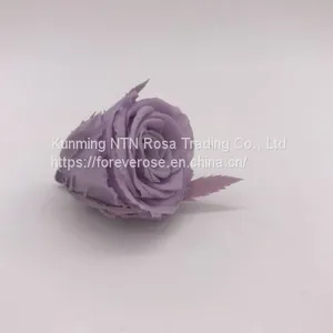 High Quality Timeless Preserved Flower Rose to Make Gorgeous Flower Gifts thumbnail-3