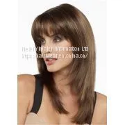 Straight Brown 16 Inches With Bangs Women Synthetic Wigs in Capless Constructions thumbnail-1