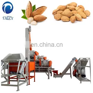 Automatic Nut Cracker Jujube Hazelnut Production Line Almond Processing Line Almond Cracking Machine thumbnail-4