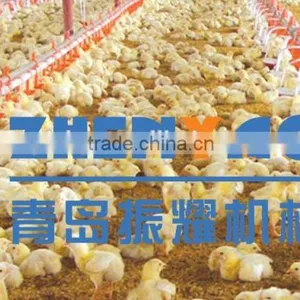 Automatic Feeding System For Broiler And Breeder thumbnail-1