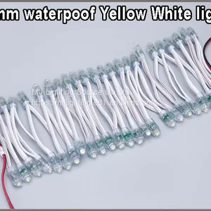 LED Decoration Light 9mm 12mm LED Pixel Strings White Color 5V 12V Lightings For Outdoor Signage thumbnail-4