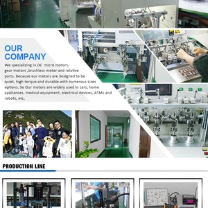 Dongguan Well Motor Co.Ltd company overview - view 1 thumbnail