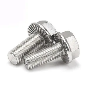 Metric Stainless Steel Hex Cap Serrated Flange Bolt With Nuts thumbnail-2