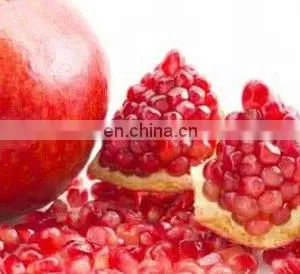 Pomegranate Seeds Separator Machine/pomegranate Seed Removing Machine thumbnail-2