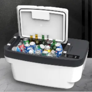 Portable Car Refrigerator Freezer With 12V/24V/110V Multi-Voltage Support thumbnail-2