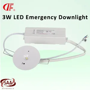 3W LED Emergency Downlight