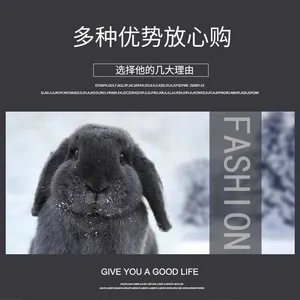 Natural Rabbit Fur Skin thumbnail-5