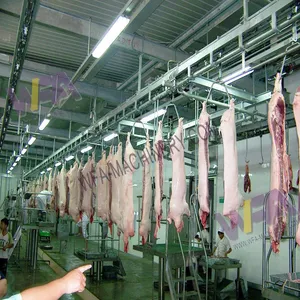 50-500 Heads Per Shift Pig Slaughter Production Line Full Set Pig Abattoir Processing Equipment SUS304 thumbnail-5
