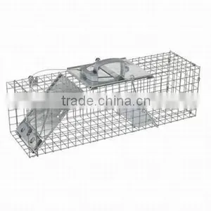 Animal Trap thumbnail-1