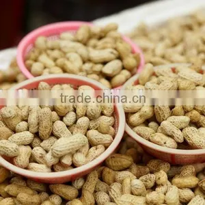 Chinese Raw Peanut Inshell Washed thumbnail-1