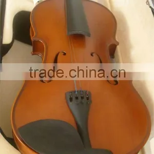Viola thumbnail-1
