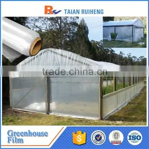 Professional Factory Greenhouse Plastic Film, PE Greenhouse Plastic thumbnail-6