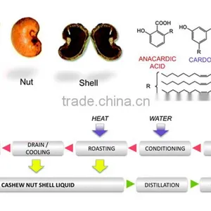 Cashew Nut Shell Liquid thumbnail-2