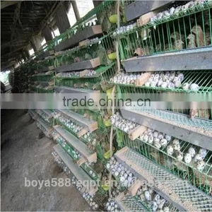 Wire Mesh Cage Quail Cages for Poultry Farm thumbnail-1