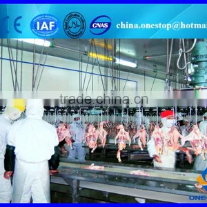Poultry Slaughtering Equipment in Slaughtering Equipment/Poultry Slaughter thumbnail-6