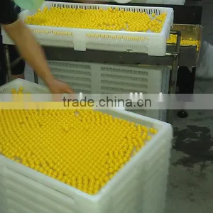 Food Grade Pharmaceutical Drying Tary For Drying Paintball / Softgel / Capsule thumbnail-1
