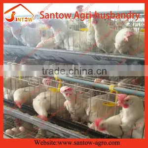 Automatic Chicken Egg Layer Cages Poultry Cage Battery Cage System for Sale thumbnail-1