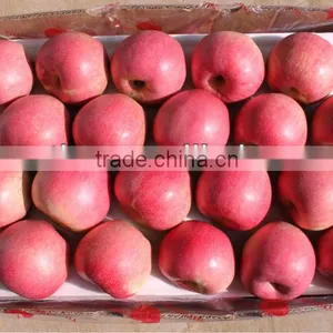 High Quality Qinguan Apple thumbnail-1