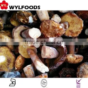 Frozen Boletus Edulis Yunnan for Hot Sale thumbnail-1