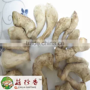 Henan Shiitake Mushroom, White , Dried ,fleshiness, Natural, Mushroom Spawn thumbnail-1