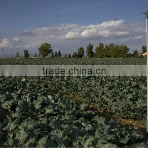 Aluminium Tube Irrigation thumbnail-1