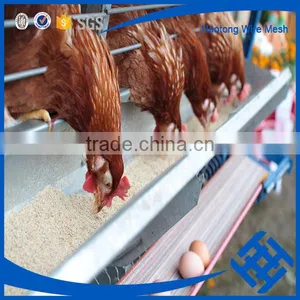 Express Poultry Battery Cage for Nigerian Farm thumbnail-2