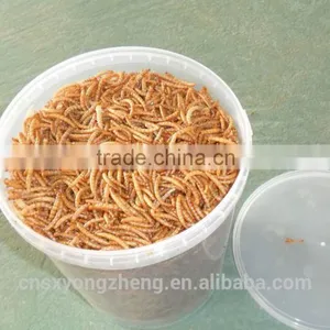 Import China Products Dried Mealworms Of Bird Food thumbnail-3