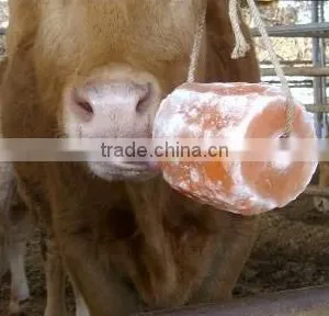 Himalayan Natural Rock Salt Animal Lick thumbnail-1