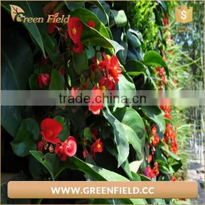 Black Felt Vertical Planter Garden Living Wall Decor Flowers Grow Bag for Herbs Strawberries thumbnail-4