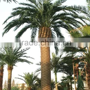Outdoor Decorative Metal Palm Trees Artifiicial Fake Palm Tree thumbnail-3