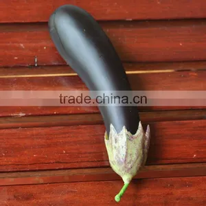 2012 New Design Artificial Beautiful Eggplant Vegetable thumbnail-1