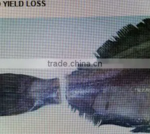 Hgt Greenland Halibut thumbnail-2