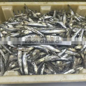 Sea Frozen Anchovy Fillets in Vinegar Water thumbnail-5