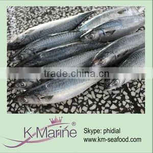 Wholesale Frozen Fresh Mackerel Lot Number#kmw4049 thumbnail-1