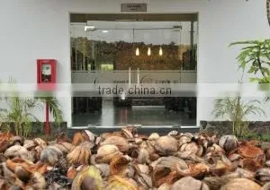 Cocovina Inc.,ltd company overview - view 3 thumbnail