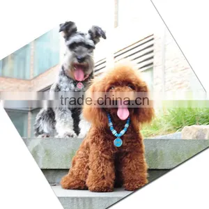 RH1911H Dog Necklace Round Bone Brand Pet Necklace With Dog Tag thumbnail-6