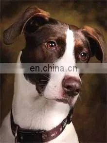 Fashion Promotion PET/PP Advertising Poster With 3d Effect thumbnail-4