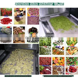Mango Slices Continuous Belt Microwave Drying Machine thumbnail-6