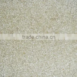 Naturre Sesame thumbnail-1