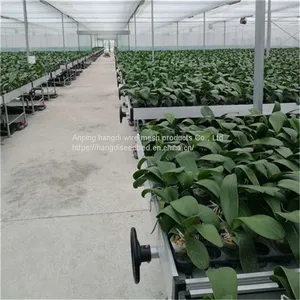 Tidal Seedbed Manufacturer thumbnail-2