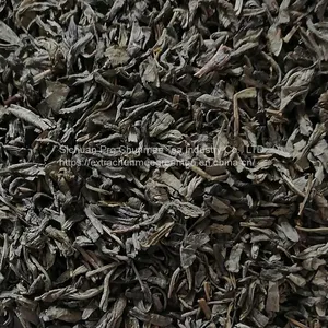 Sichuan Chunmee Green Tea 708 110 8810 8008 3010 for Uzbekistan Turkimenistan Tajikistan thumbnail-3